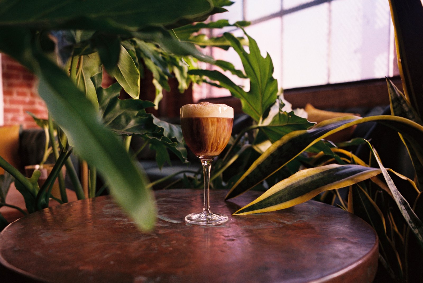 Espresso martini on a copper table framed by the lounge's houseplants